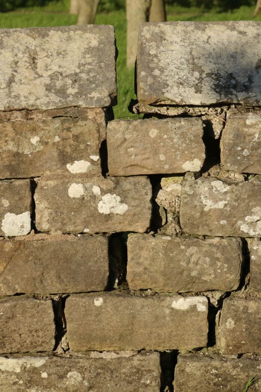 Stone Wall Repair in Deatsville, AL
